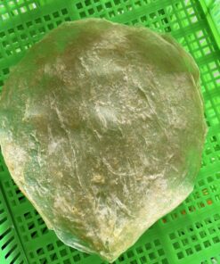 DRIED FISH MAW SMK5