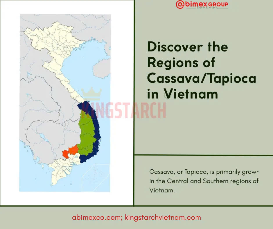 Vietnam Tapioca Starch Export