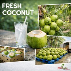 Peeled vs Green vs Diamond Cut Coconut