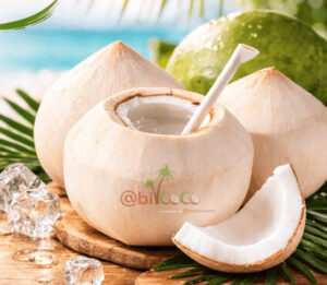 polished fresh young coconut