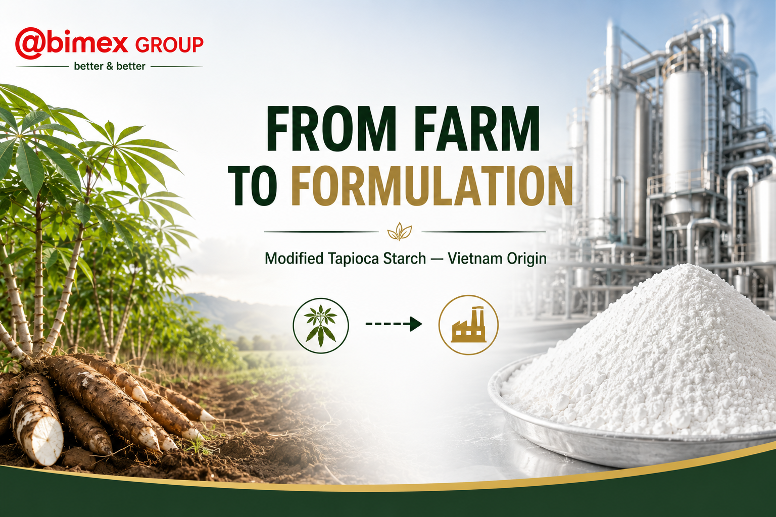 modified tapioca starch Vietnam origin Kingstarch Abimex