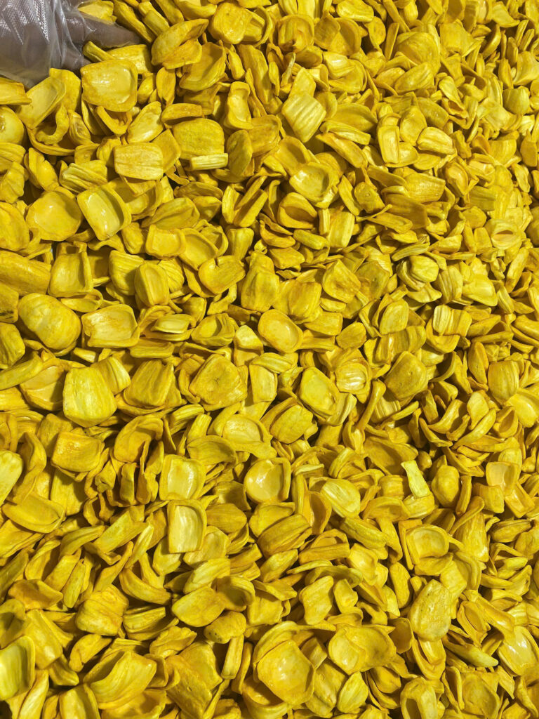 crispy dried jackfruit