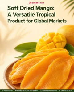Soft Dried Mango