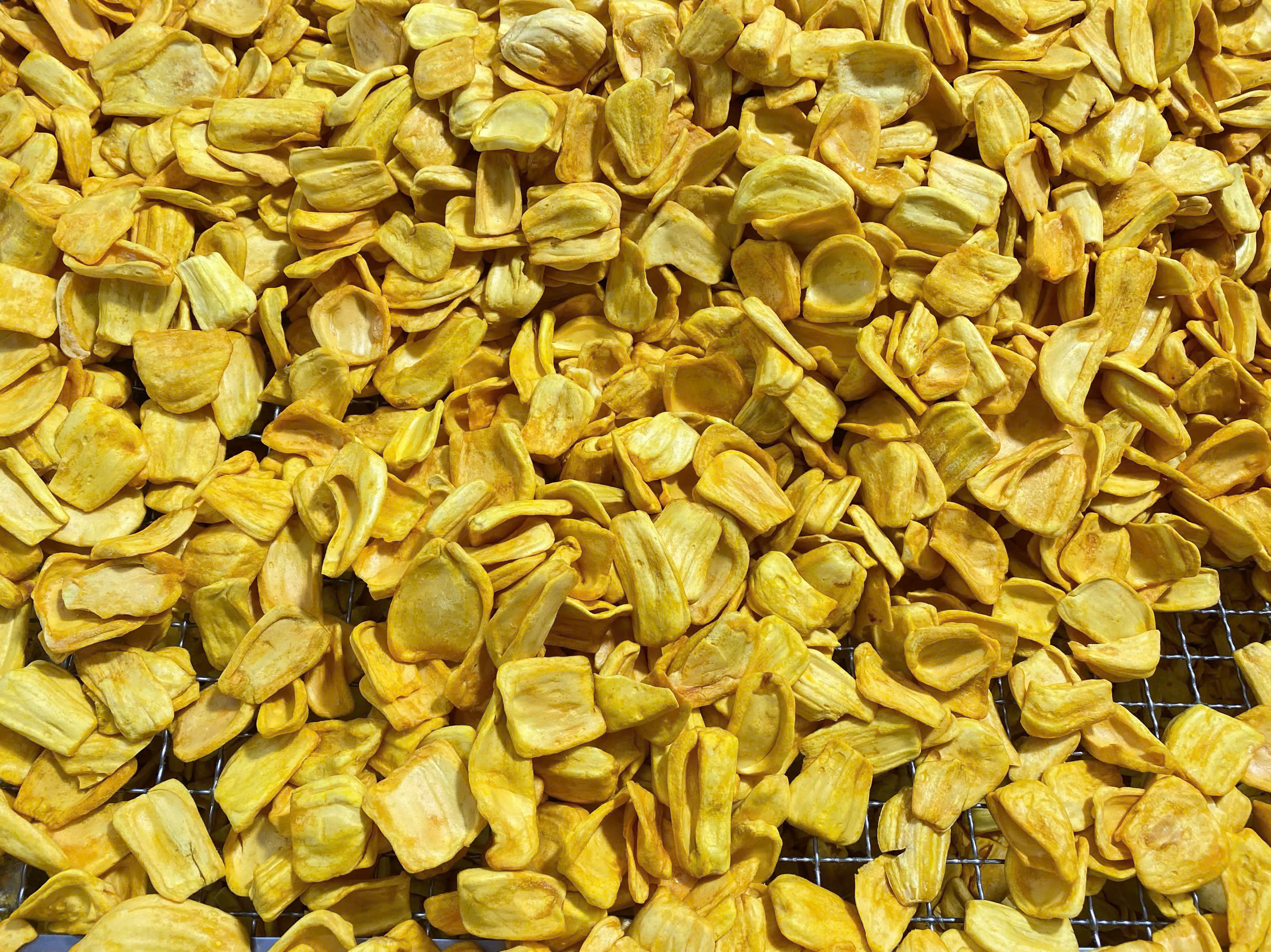 Jackfruit harvest seasons in Vietnam
