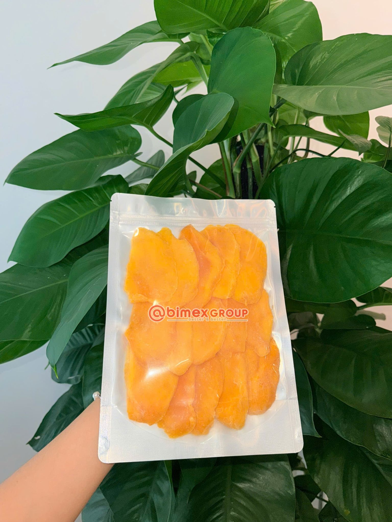 Soft dried mango vs mango fruit leather texture comparison